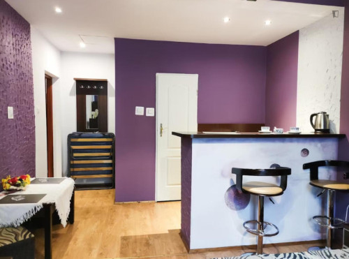 2-Bedroom apartment close to Krakow University of Economics 