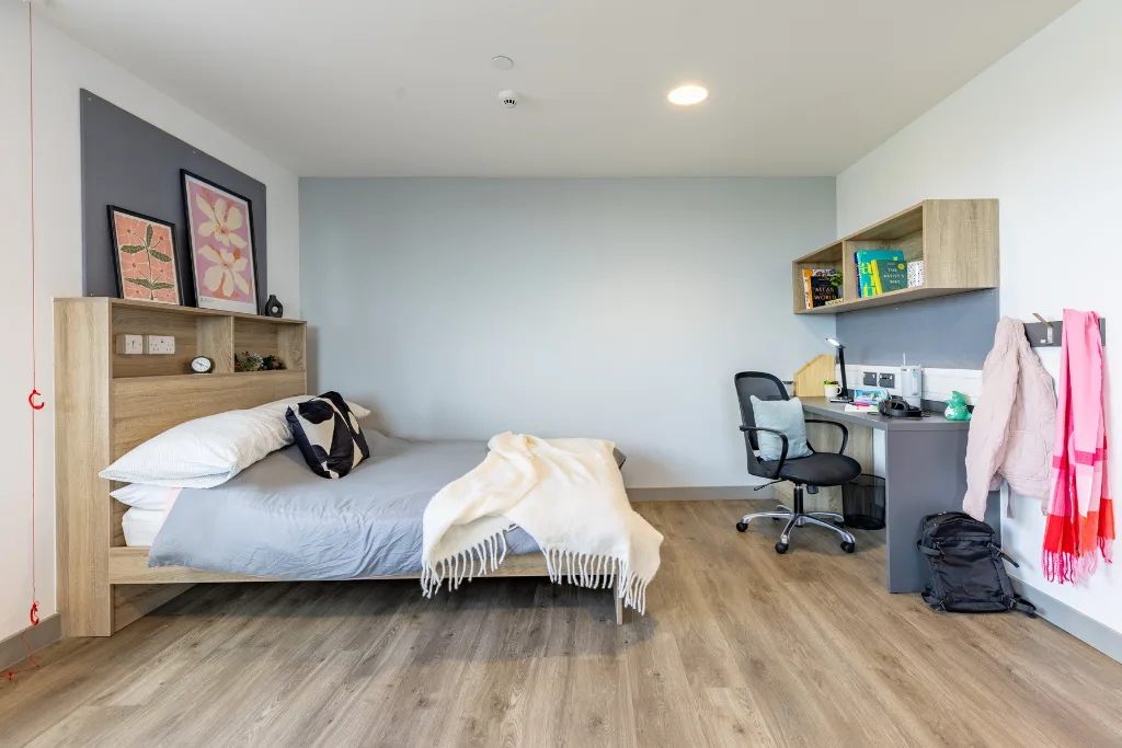  Premium Studio  -  Ashlin House  - Gallery -  1