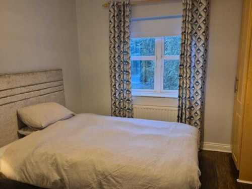 Renting 1room in my house