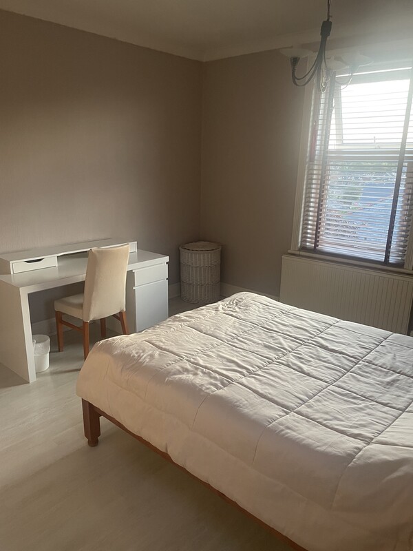 Room 1 - Double Bed (Single Bed) - 1