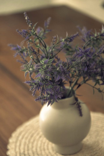 Sur Home II - Gallery - 37