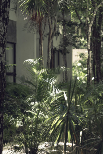 Sur Home II - Gallery - 115