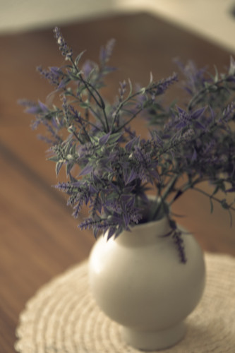 Sur Home II - Gallery - 121