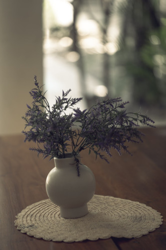 Sur Home II - Gallery - 120