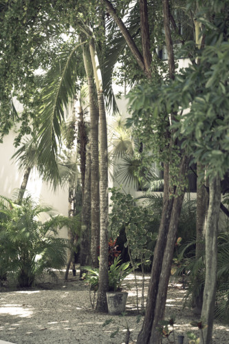 Sur Home II - Gallery - 126