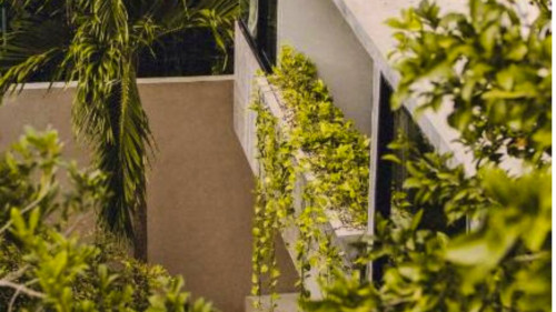 Sur Home II - Gallery - 15