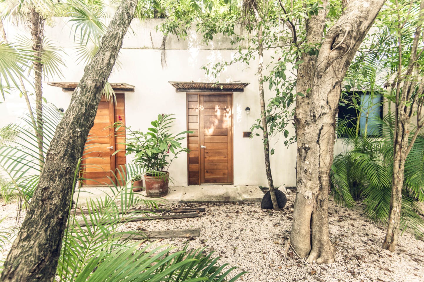 Studio W/Kitchen/Garden/Rooftop - Sanctuary for Digital Nomads in the Vibrant La Veleta, Tulum - Gallery - 10