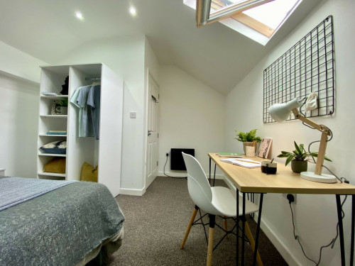 66 Upper Allen  - Gallery -  5
