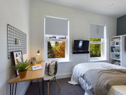 Hall Lane - Gallery - 15