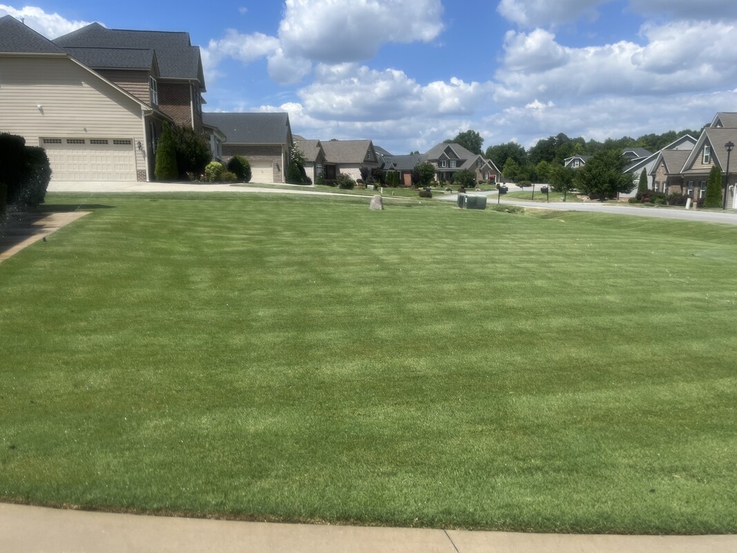  Double Room  -  Serenity in Summerfield  - Gallery -  1