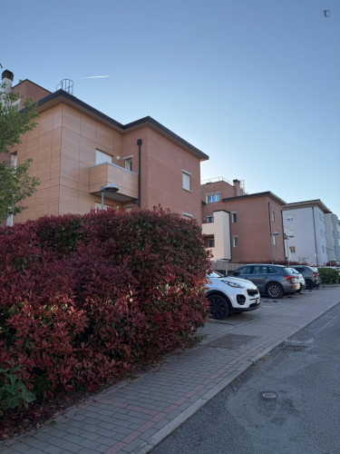 Room with private bathroom in modern apartment in Ozzano