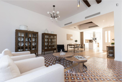Spacious 3-bedroom flat in Ciutat Vella - Gallery - 23