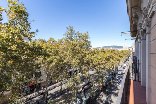 Spacious 3-bedroom flat in Ciutat Vella - Gallery - 28
