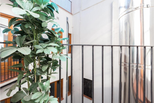Spacious 3-bedroom flat in Ciutat Vella - Gallery - 11