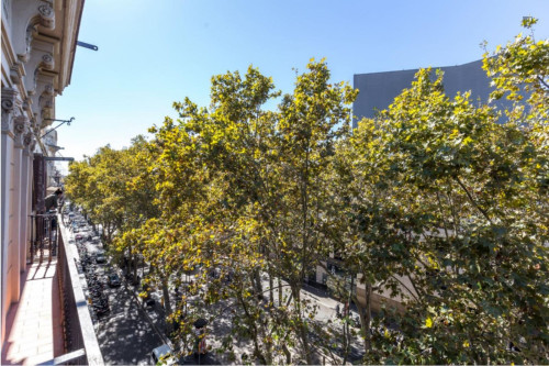 Spacious 3-bedroom flat in Ciutat Vella - Gallery - 14