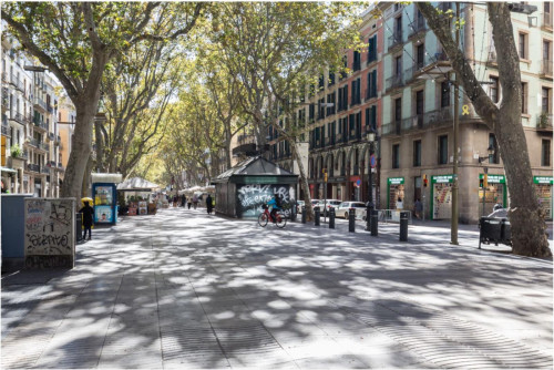 Spacious 3-bedroom flat in Ciutat Vella - Gallery - 16
