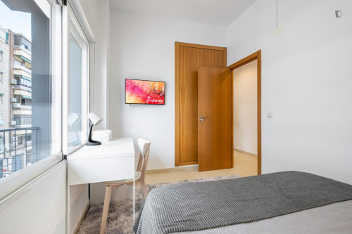 Excellent double bedroom in Benalua