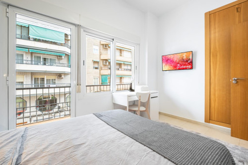 Excellent double bedroom in Benalua