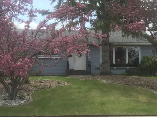 Fun, comfortable home! - Gallery - 7