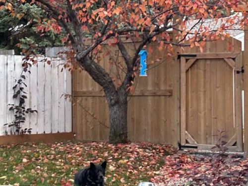 Fun, comfortable home!