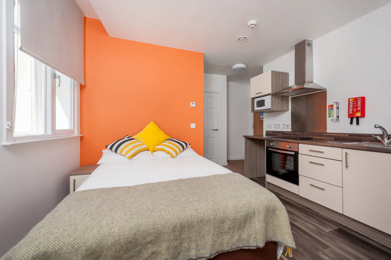  Premium Studio  -  Minerva House  - Gallery -  3