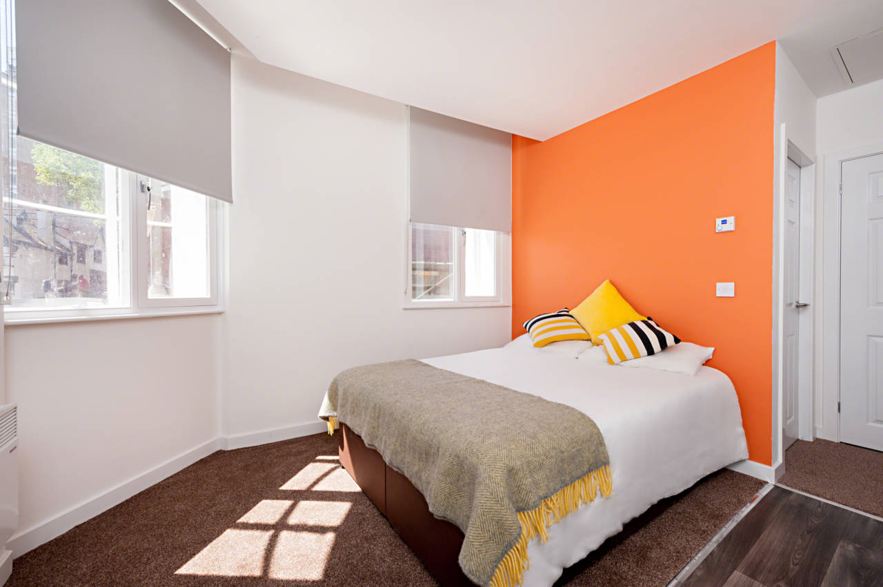  Premium Studio  -  Minerva House  - Gallery -  1