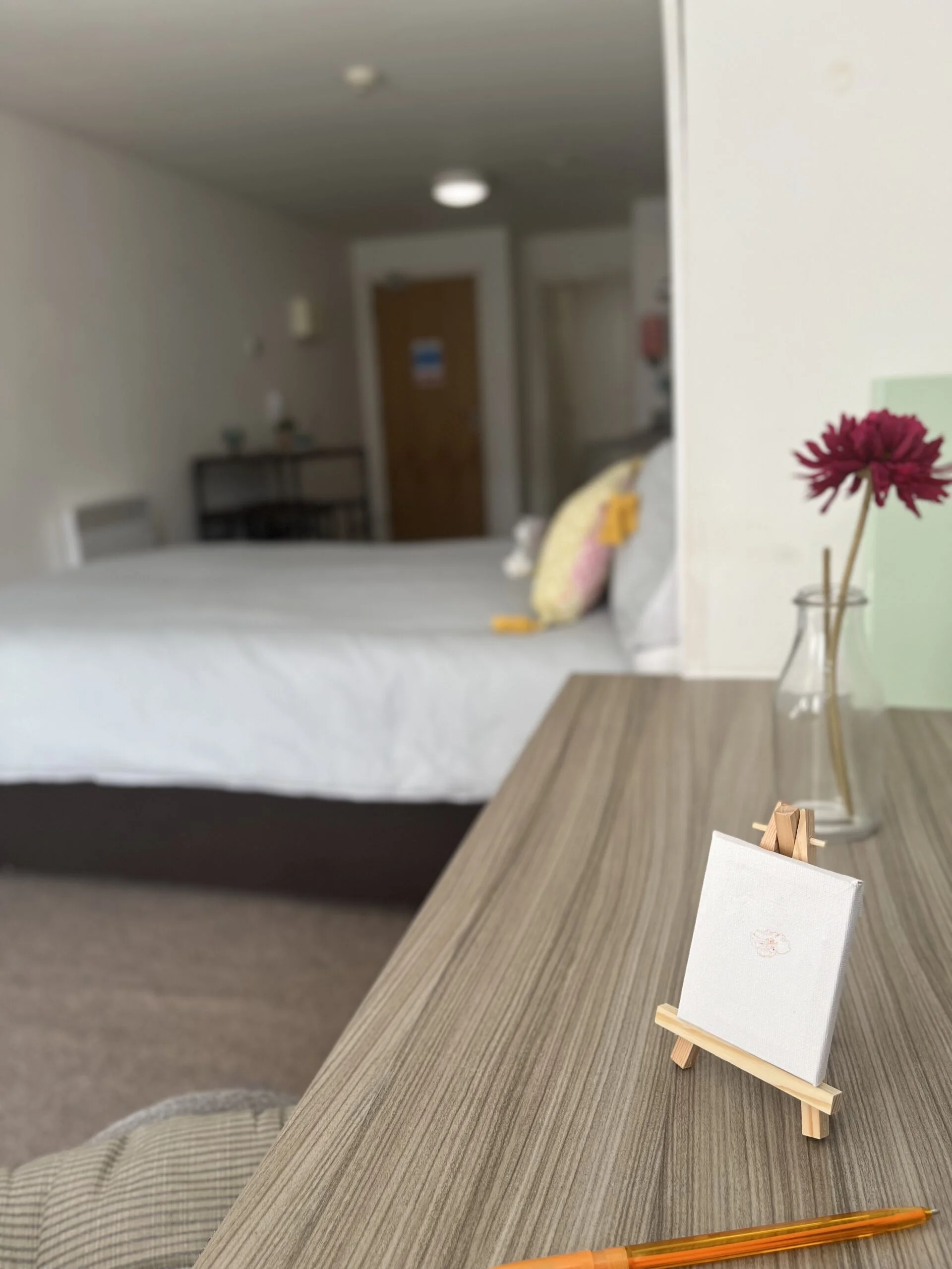  PLUS Deluxe Studio  -  Minerva House  - Gallery -  2
