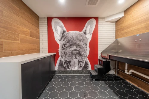 1500 Arlington Apartments