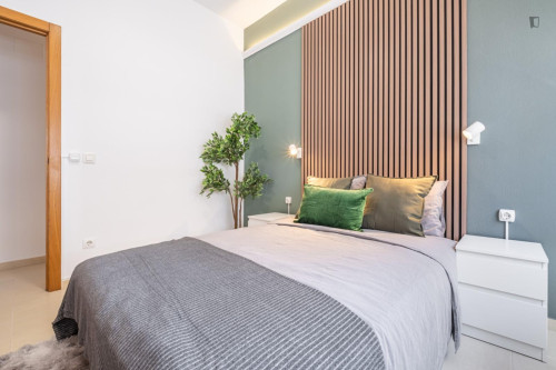 Appealimng double bedroom in Benalua