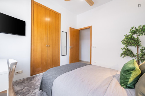 Appealimng double bedroom in Benalua