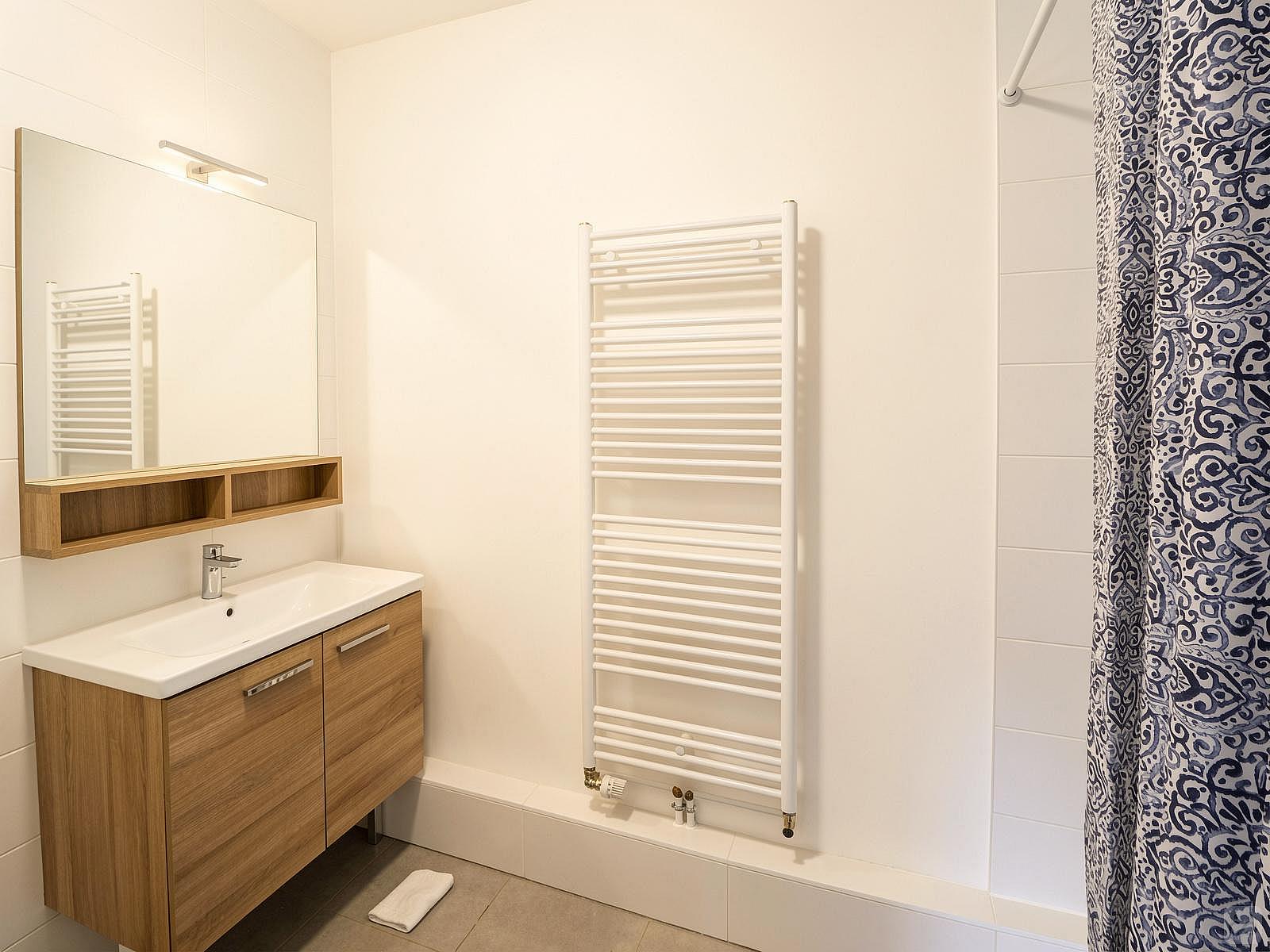  Rent This Marvellous 18 M² Bedroom With Its Private Shower Room  -  Spacious 85 m² apartment to rent in the north of Strasbourg  - Gallery -  30