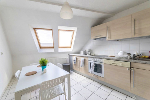 Beautiful apartment located in Neudorf West