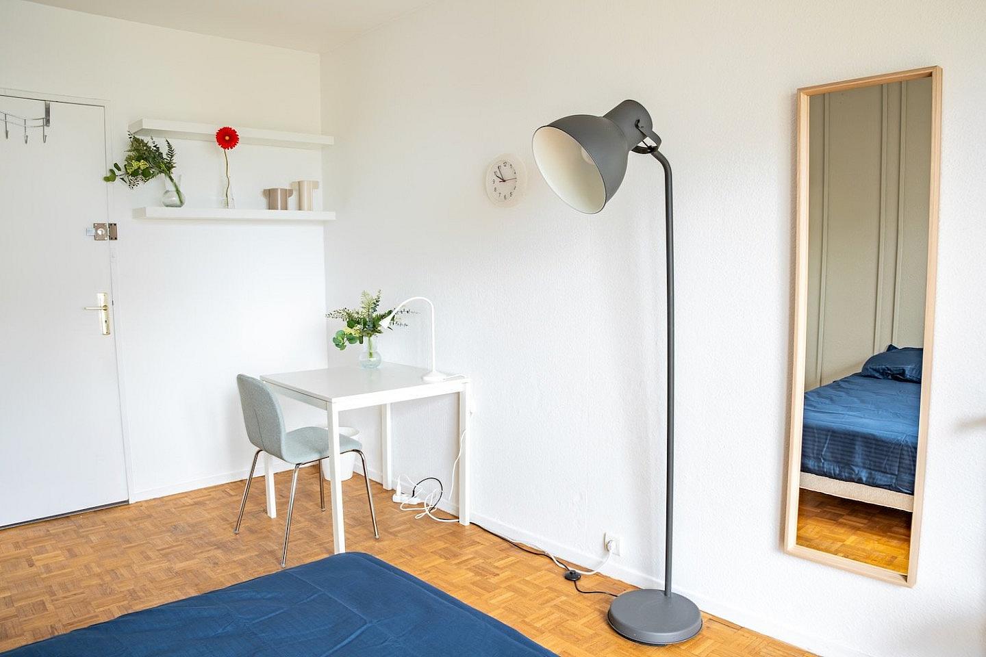 Quiet And Warm Room - 13m² - ST7 - Apartment ideally located near the University of Strasbourg - Gallery - 6