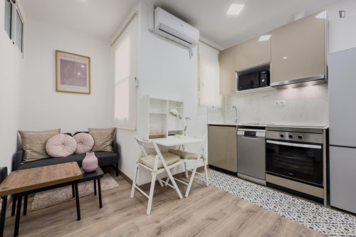 1-bedroom apartment