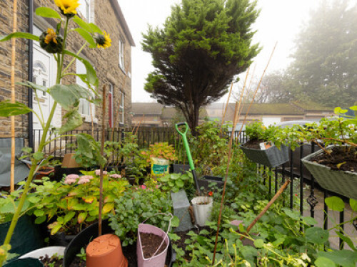 Cosy stay - Gallery - 13