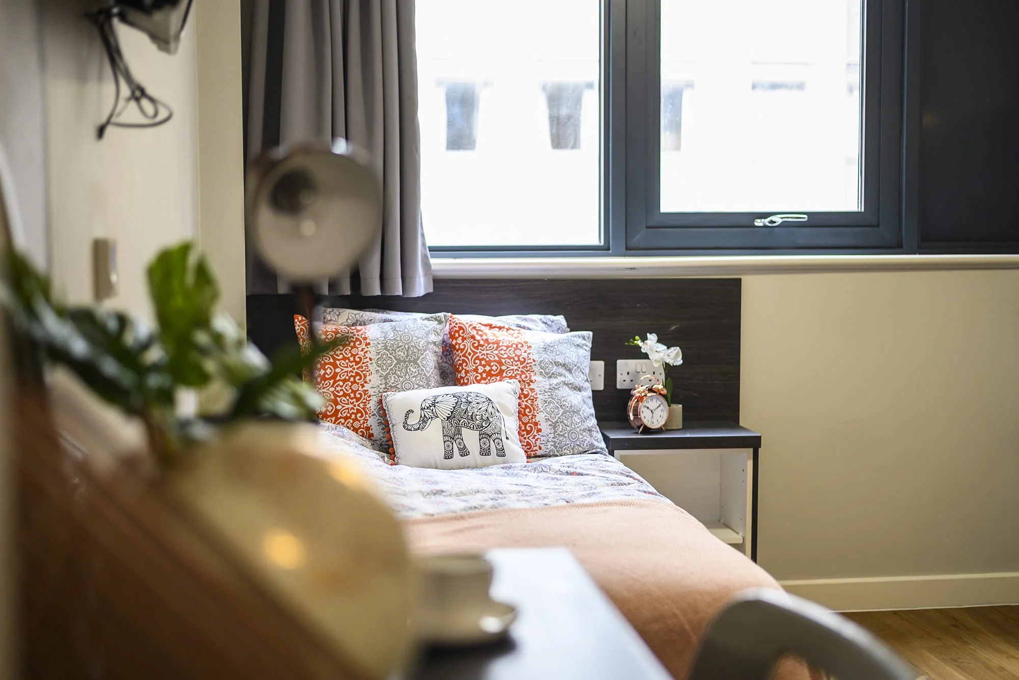  Premium Studio - Single Bed  -  Sovereign Newbank  - Gallery -  1
