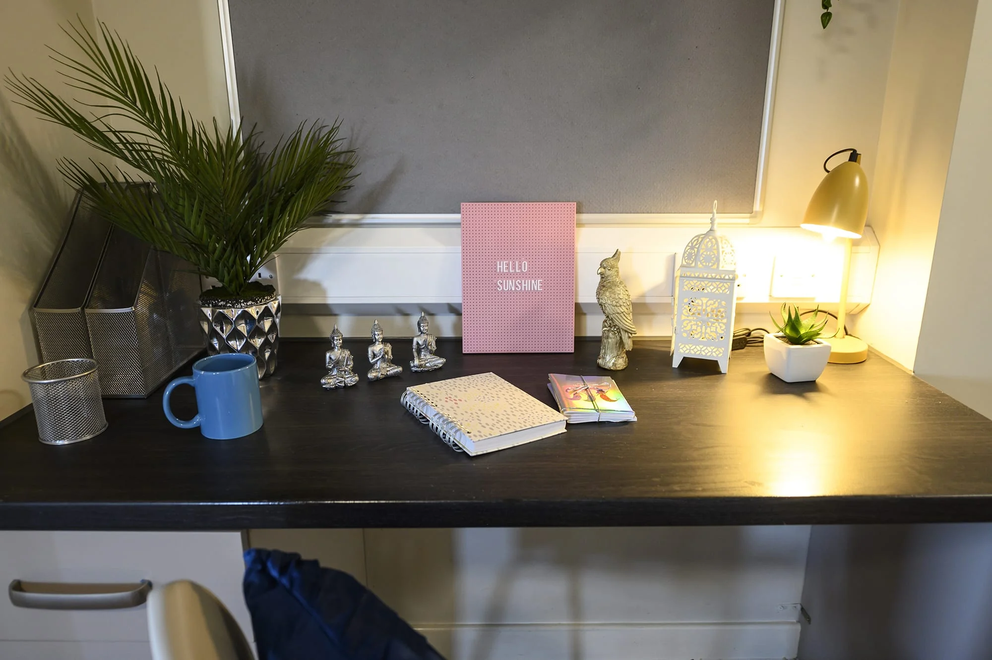  Deluxe Studio  -  Burgess House  - Gallery -  6