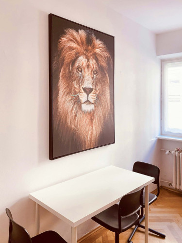 Schleißheimer Straße - Gallery - 10