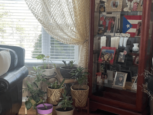 Cozy clean room - Gallery - 13