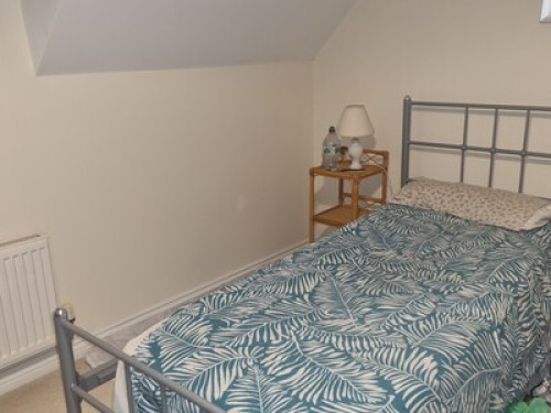 Double Room for rent in Plymouth  - Gallery - 8
