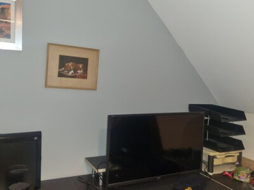 Double Room for rent in Plymouth  - Gallery - 6