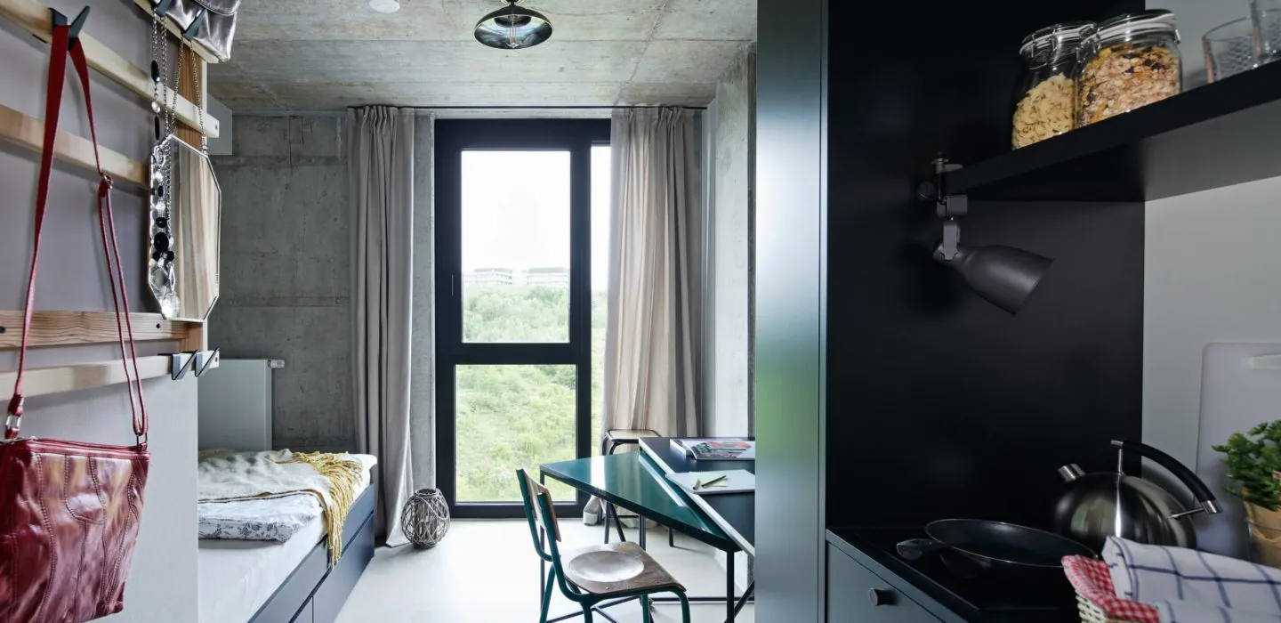  Classic  -  Riedberg  - Gallery -  2