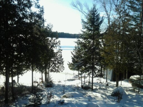 Log house on a beautiful lake - Gallery - 11