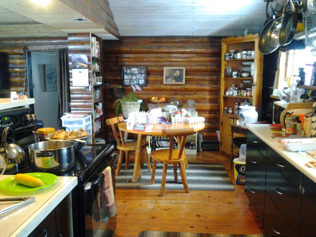   Lake View, Queensize Bed, Airtight Wood(Full Room)  -  Log house on a beautiful lake  - Gallery -  1