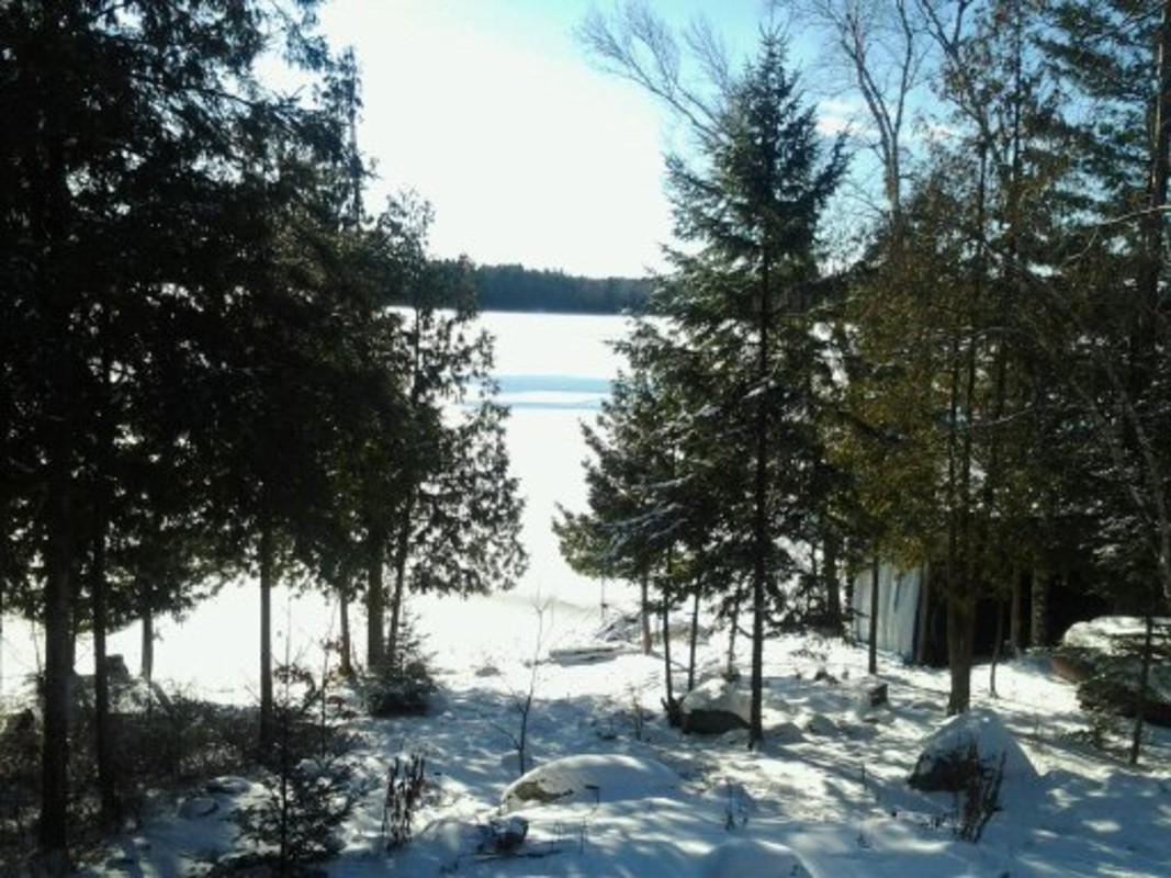  Small Main Floor, Queensize Bed(Full Room)  -  Log house on a beautiful lake  - Gallery -  1