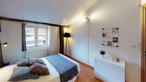Cosy double bedroom close to Lyon Saint Paul train station