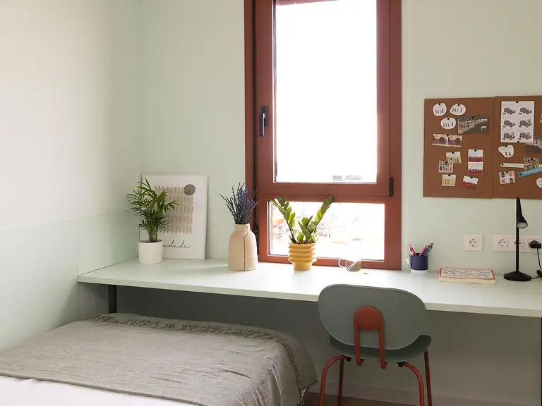  Individual  -  Alba Viu  - Gallery -  10