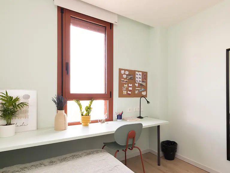  Individual  -  Alba Viu  - Gallery -  7