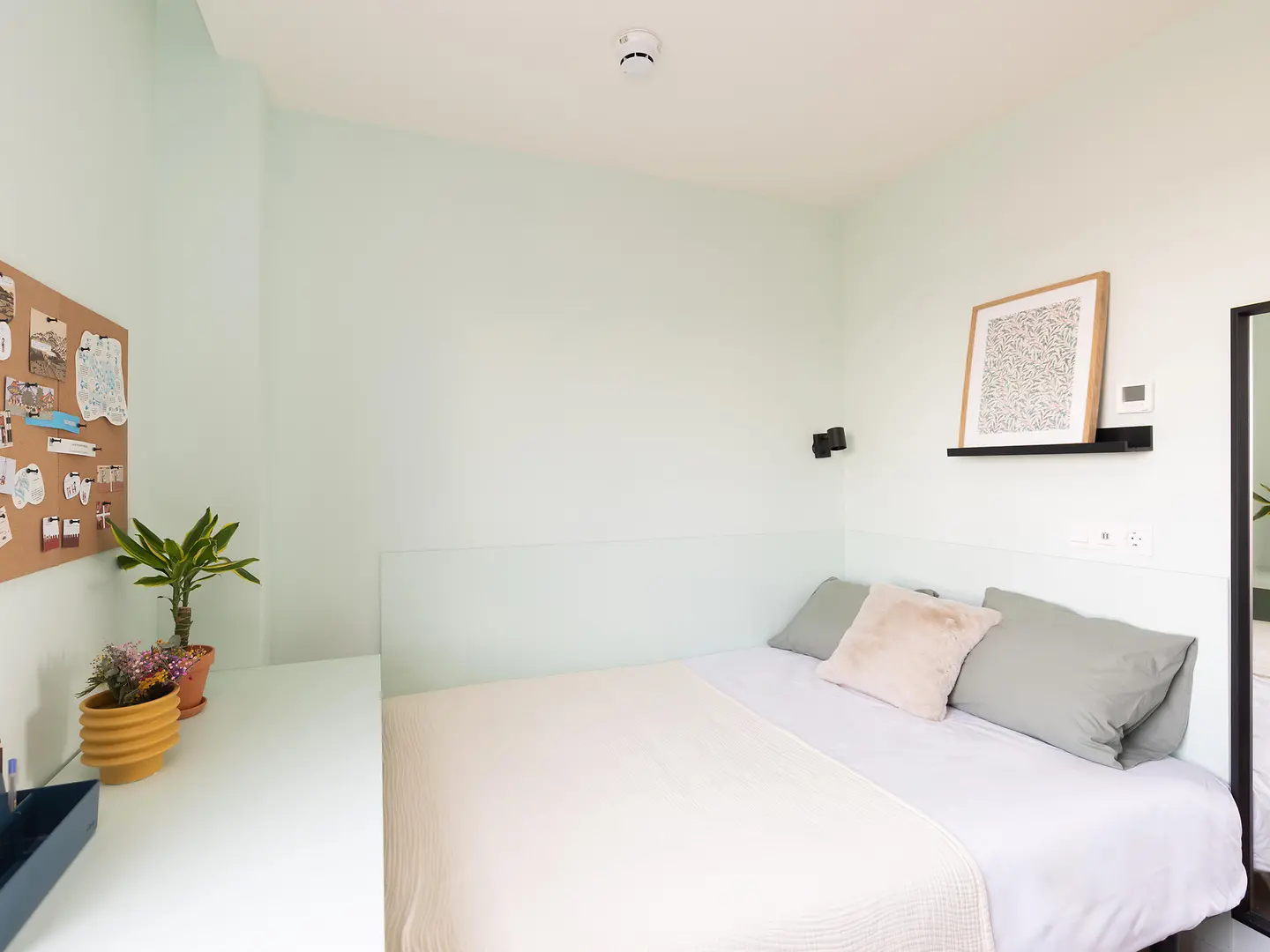  Premium Studio PMR  -  Alba Viu  - Gallery -  4