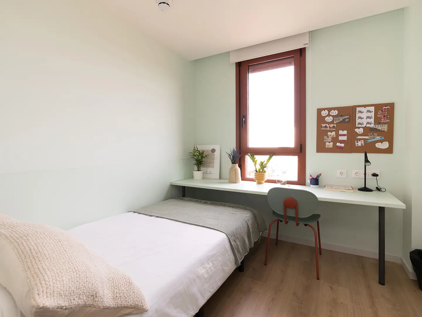  Studio  -  Alba Viu  - Gallery -  10